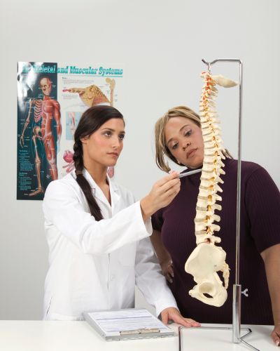 Top-Rated Chiropractors in Phoenix|Home