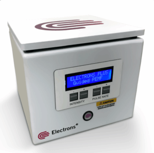 PEMF Therapy Explained: What to Expect at Pro Team Health and Wellness